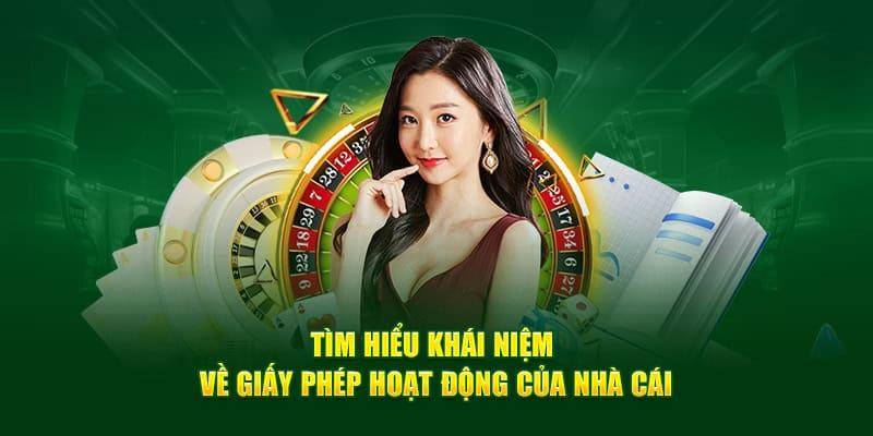 Thông tin giấy phép là gì?